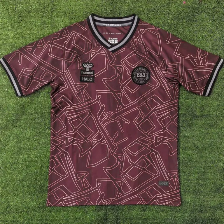 24-25 Dinamarca - Camiseta - Halo - Edición Especial Hincha