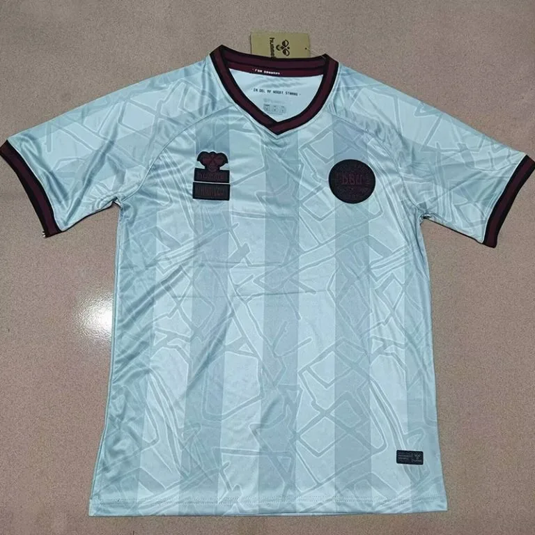 24-25 Dinamarca - Camiseta - Gris - Halo - Edición Especial Hincha