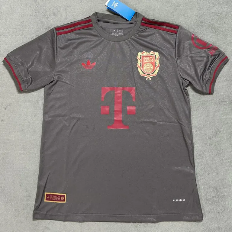 24-25 Bayern - Camiseta - Gris - 125.º aniversario Hincha