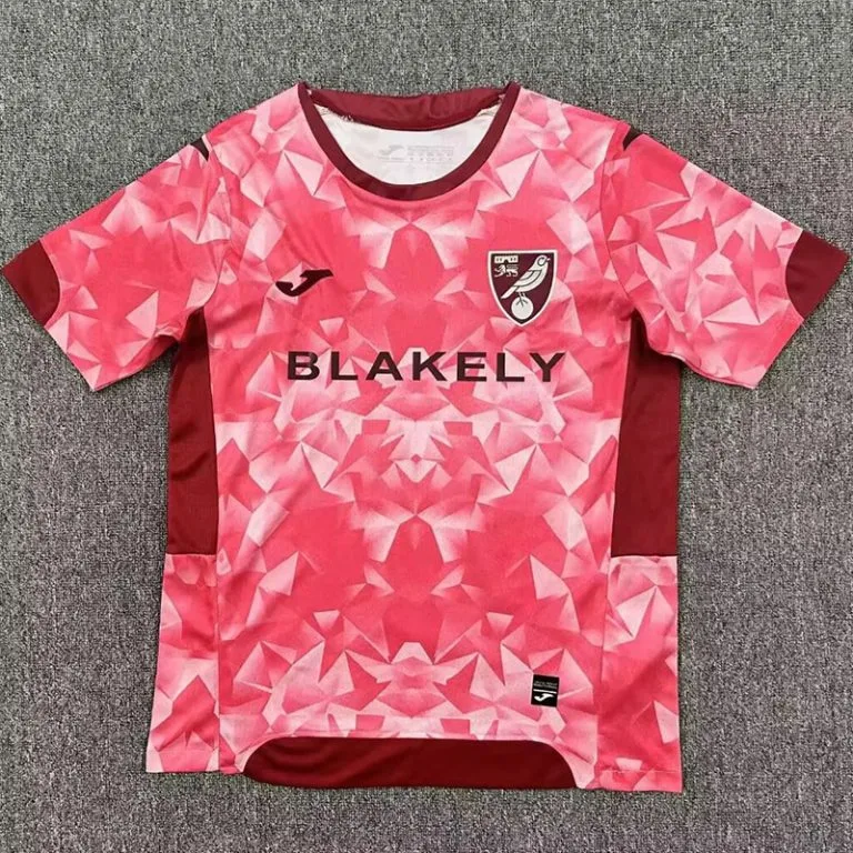 25-26 Norwich City - Camiseta Versión Hincha - Tercera