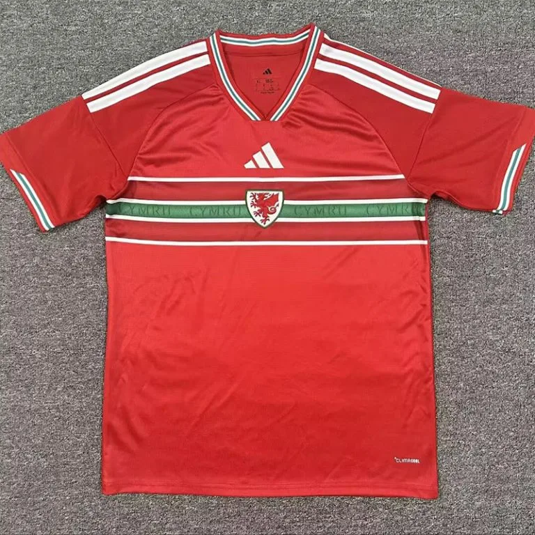 26-27 Gales - Camiseta Versión Hincha - Titular