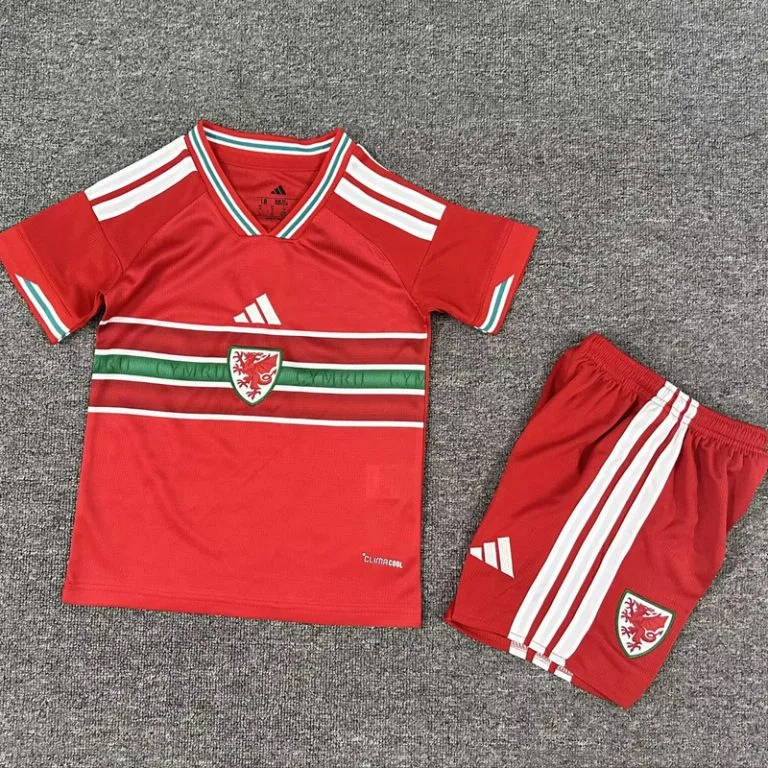 26-27 Gales - Camiseta Infantil - Titular